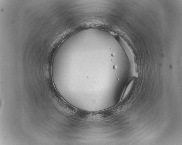 X0000070880403200607150151