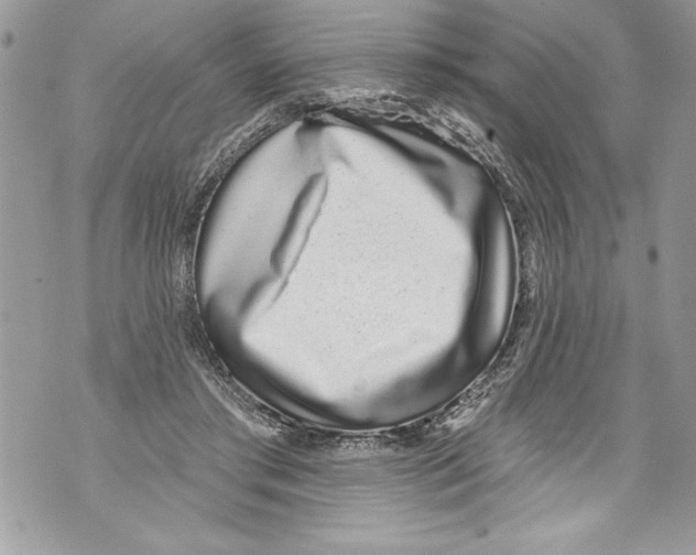 X0000070880405200607150151