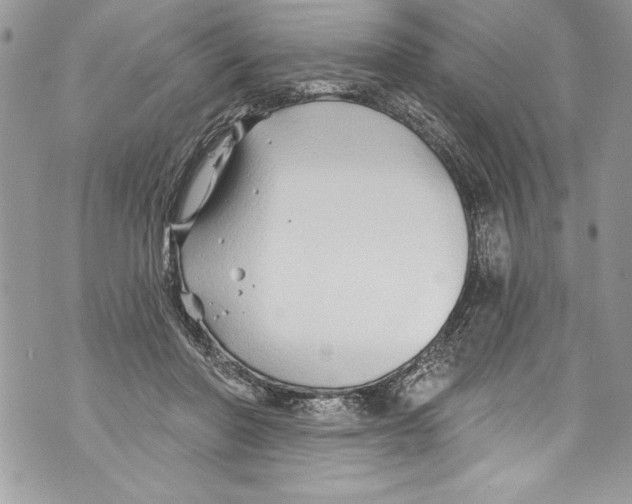 X0000070880406200607150151