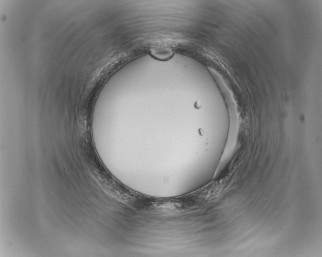 X0000070880407200607150151