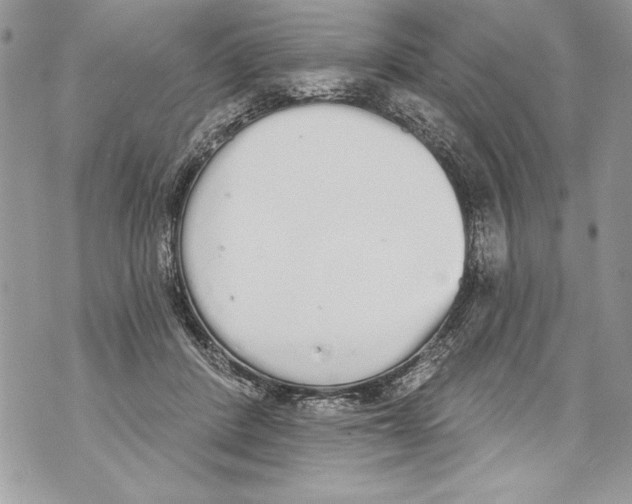 X0000070880408200607150151