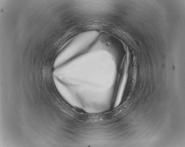 X0000070880409200607150151