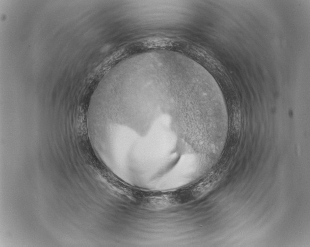 X0000070880411200607150151