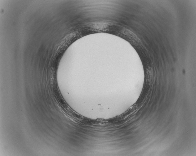 X0000070880412200607150151