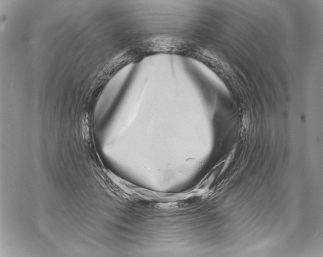 X0000070880413200607150151