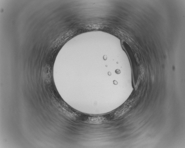 X0000070880414200607150151