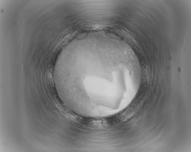 X0000070880415200607150151