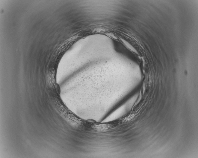 X0000070880417200607150151