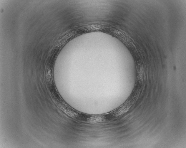 X0000070880418200607150151