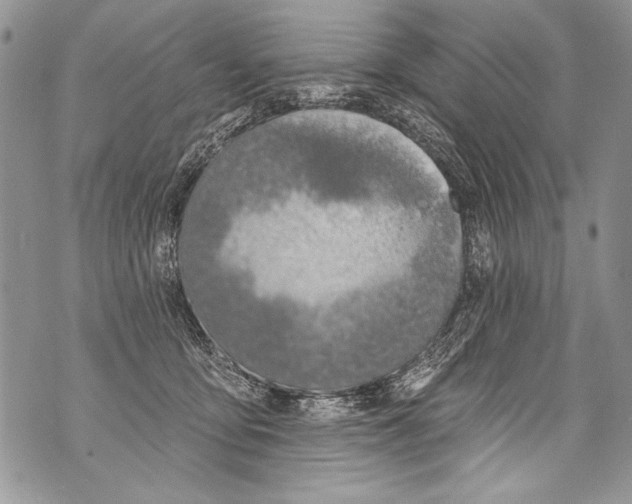 X0000070880419200607150151