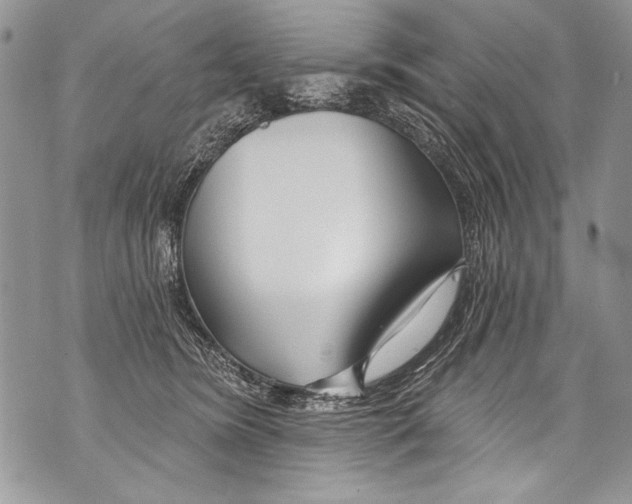 X0000070880420200607150151