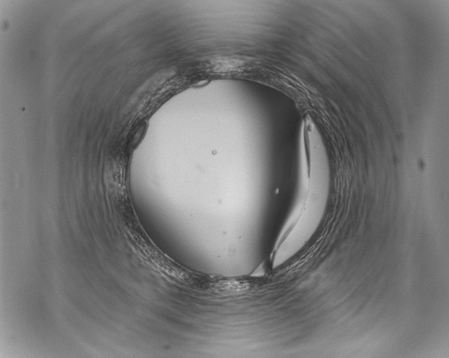 X0000070880421200607150151