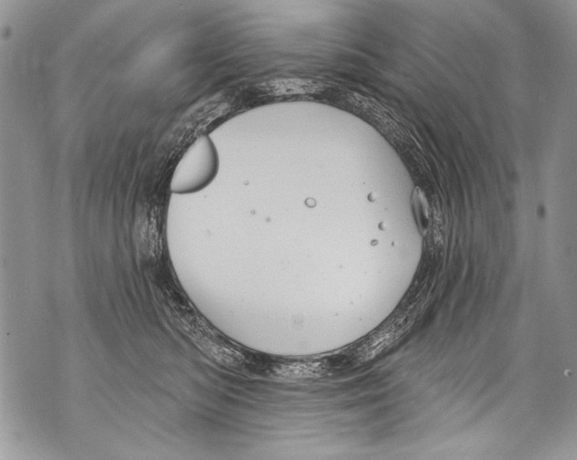 X0000070880422200607150151