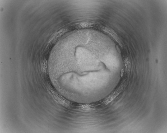 X0000070880423200607150151