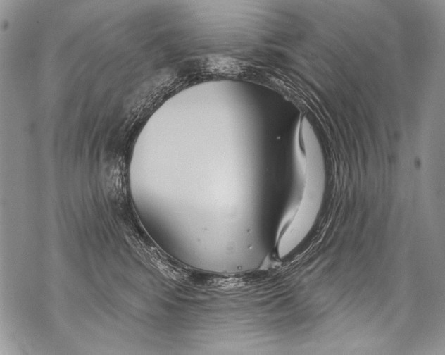 X0000070880424200607150151