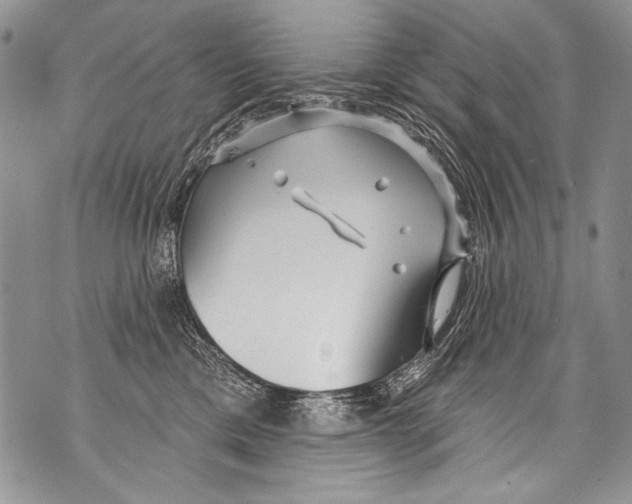 X0000070880425200607150151