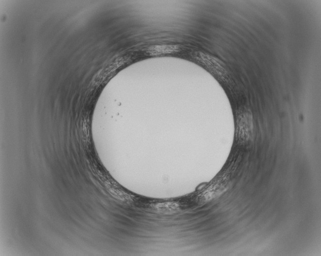 X0000070880426200607150151