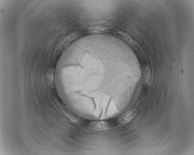 X0000070880427200607150151