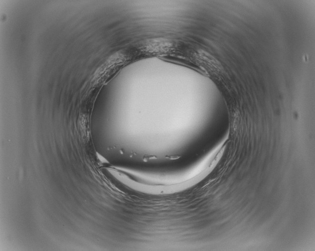 X0000070880428200607150151