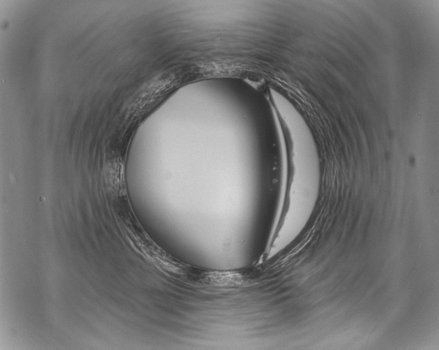 X0000070880429200607150151