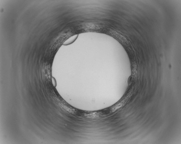 X0000070880430200607150151