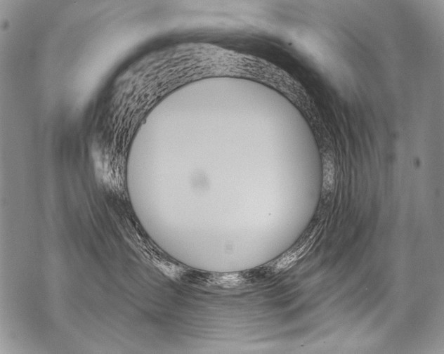 X0000070880431200607150151