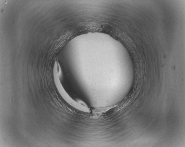 X0000070880432200607150151