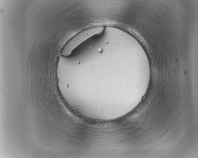 X0000070880433200607150150