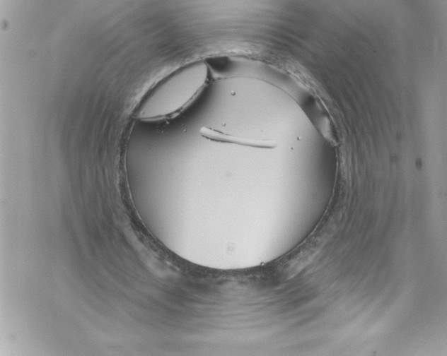 X0000070880434200607150150