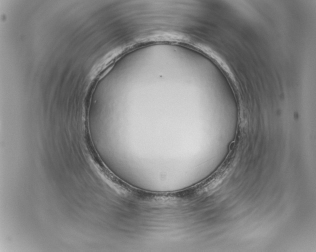 X0000070880437200607150150