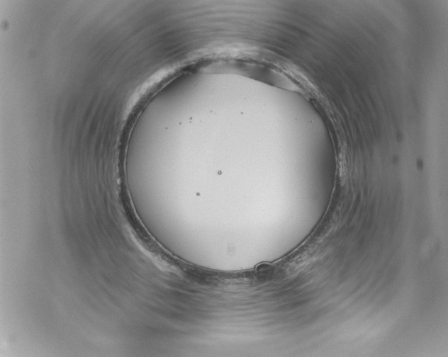 X0000070880438200607150150