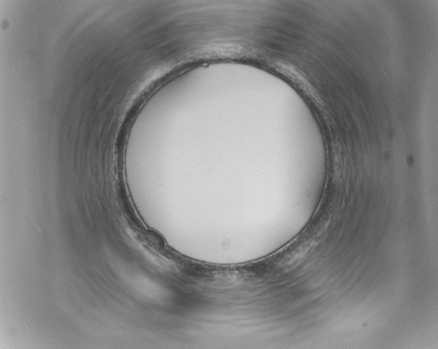 X0000070880439200607150150