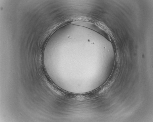 X0000070880441200607150150