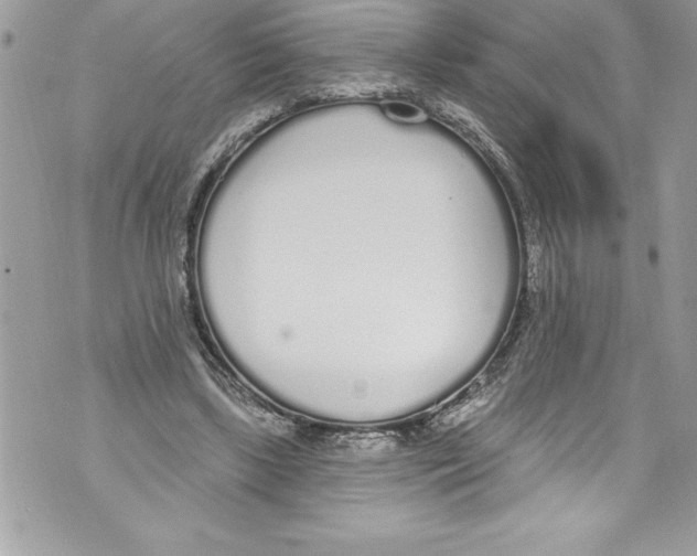 X0000070880443200607150150