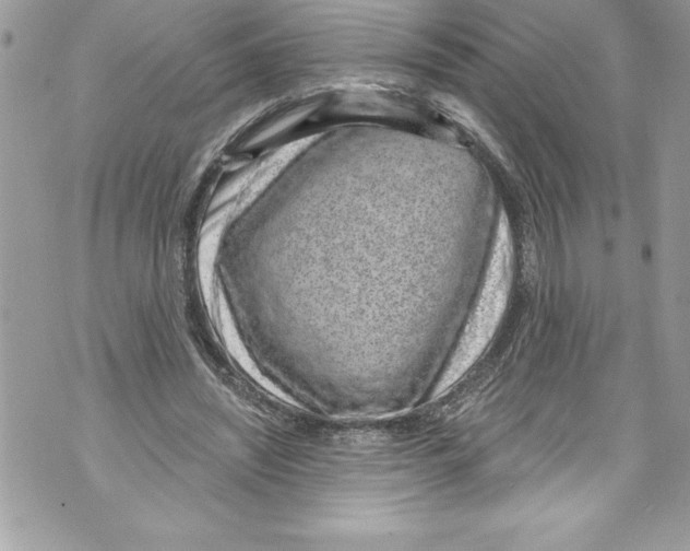 X0000070880444200607150150