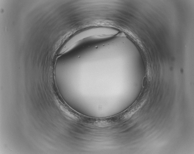 X0000070880445200607150150