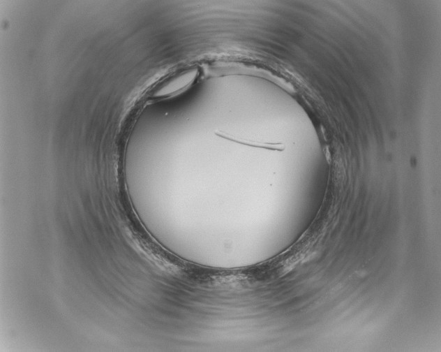 X0000070880446200607150150