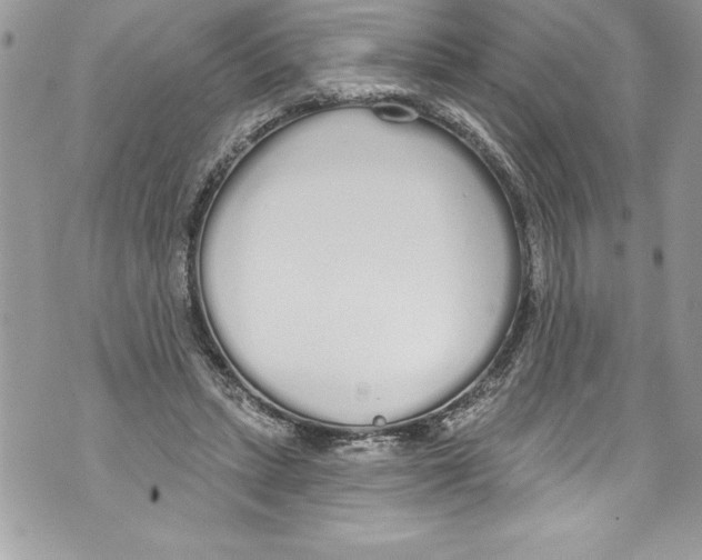 X0000070880447200607150150