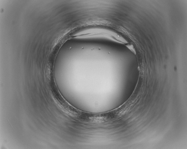 X0000070880448200607150150