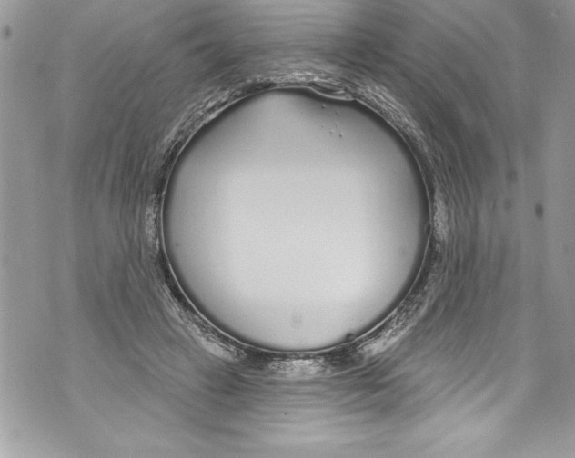 X0000070880449200607150150