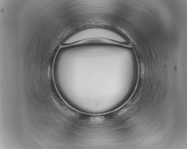 X0000070880451200607150150