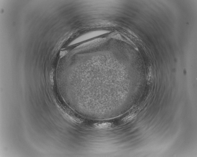 X0000070880452200607150150