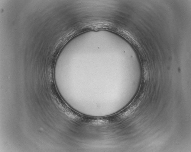 X0000070880453200607150150