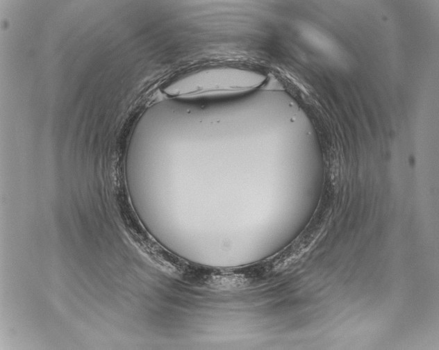 X0000070880455200607150150