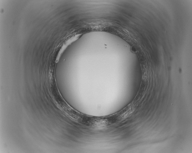 X0000070880456200607150150