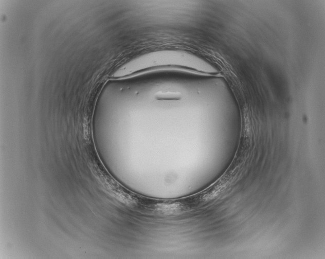 X0000070880457200607150150