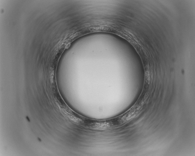 X0000070880458200607150150