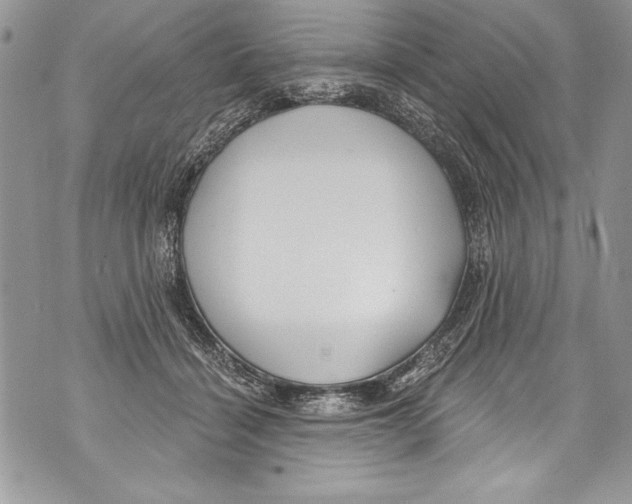 X0000070880460200607150150