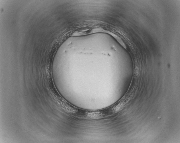 X0000070880461200607150150