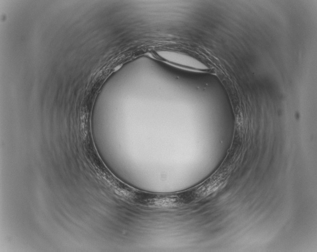 X0000070880462200607150150